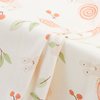 Printed Combed Brushed Cotton Interlock Fabric 100%C for Kid Clothes Bedding Baby Romper
